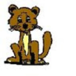 Meet your Posher, Bonnie